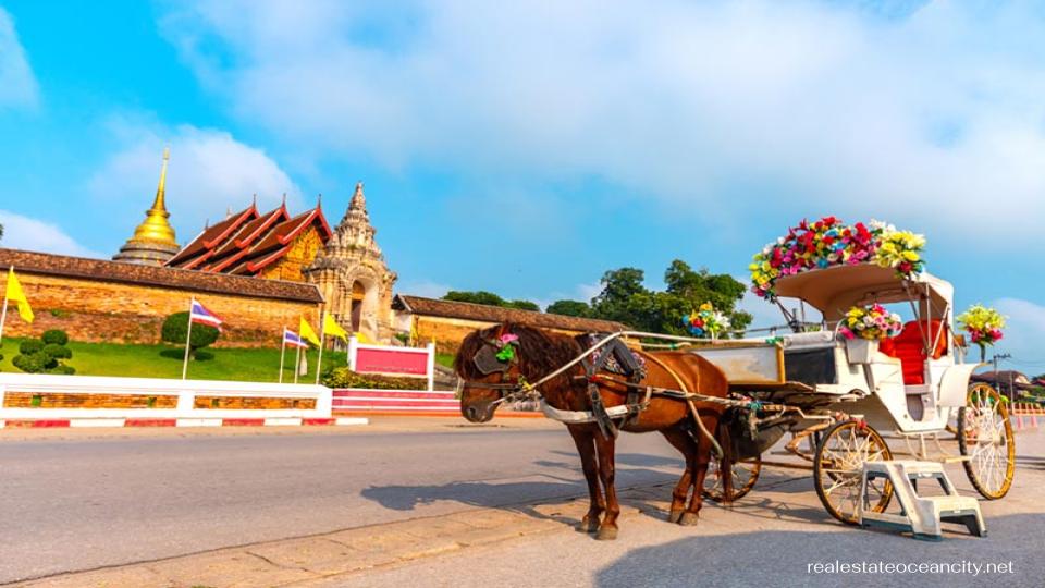 ในภาคเหนือของประเทศไทยมีจังหวัดที่น่าสนใจมากมายให้คุณเลือกเยี่ยมชม หากคุณกำลังมองหาสถานที่ที่เต็มไปด้วยวัฒนธรรมและเป็นบ้านของช้าง ลำปาง เป็นจังหวัดทางภาคเหนือที่จะตรงกับความต้องการของคุณมากที่สุด