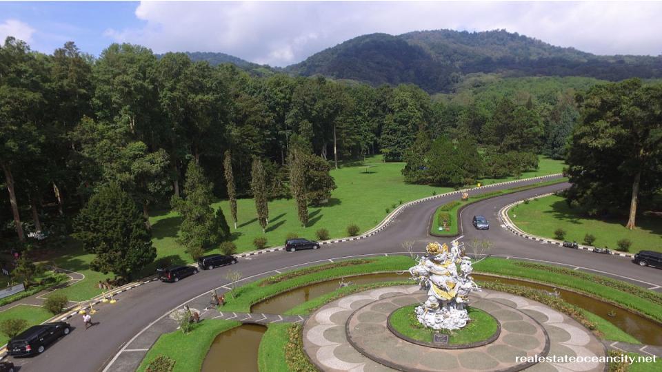 Kebun Raya ใจกลางเมืองโบกอร์มีสวนพฤกษศาสตร์ที่สวยงามซึ่งรู้จักกันในชื่อKebun Rayaซึ่งเป็นปอดสีเขียวของเมืองครอบคลุมพื้นที่ 87 เฮกตาร์ ทุกคนต่างชื่นชอบ Orchid House ที่มีดอกไม้แปลกตาและบอบบาง แต่ที่นี่มีพืชมากกว่า 15,000 สายพันธุ์