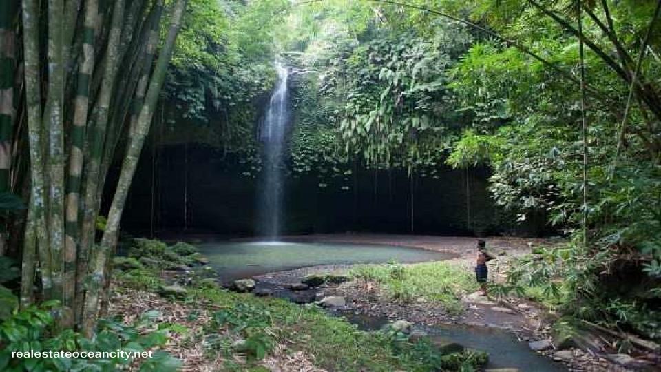 Air Terjun Singsing ห่างจากโลวินาไปทางตะวันตกประมาณ 5 กม. มีป้ายบอกทางไปยัง Air Terjun Singsing (น้ำตกยามอรุณรุ่ง) 