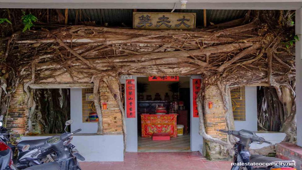 Banyan Tree Temple