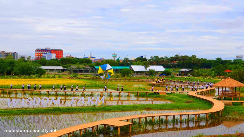 Wisdom Farm เป็นสถานที่ท่องเที่ยวที่เหมาะสำหรับคนรักธรรมชาติและผู้ที่ต้องการพักผ่อนในบรรยากาศเรียบง่ายแต่เต็มไปด้วยความสดชื่น ตั้งอยู่ในพื้นที่ที่โอบล้อมด้วยทุ่งนาและภูเขาสีเขียวขจี