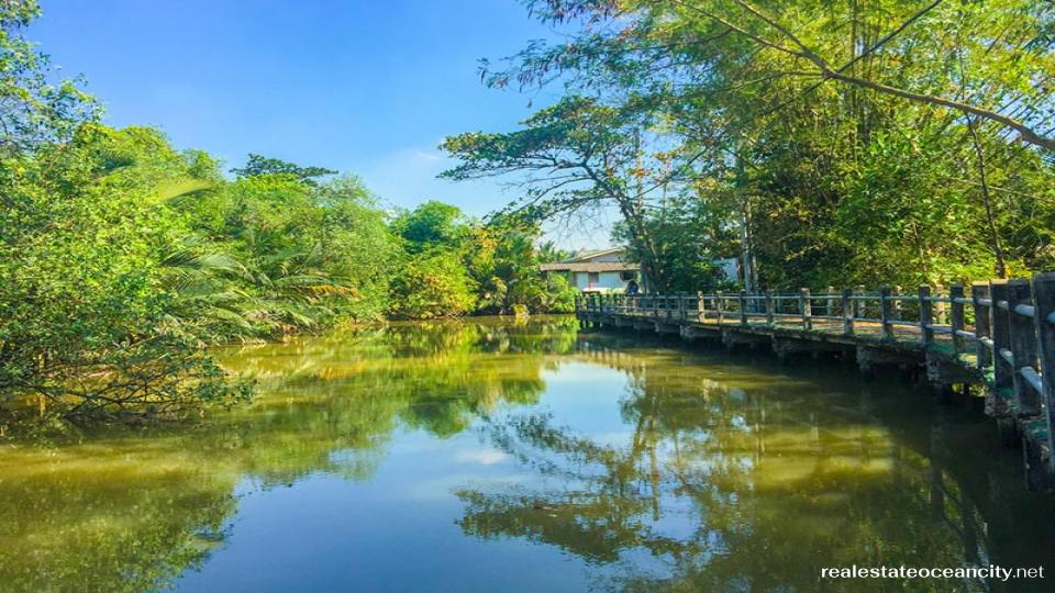 บางกะเจ้า เป็นเกาะเทียมที่เกิดจากการที่แม่น้ำเจ้าพระยาไหลคดเคี้ยวผ่านคลองสองฝั่ง จึงเกิดเป็นผืนแผ่นดินที่ล้อมรอบไปด้วยน้ำ เกาะแห่งนี้ยังเป็นที่รู้จักในชื่อ "ปอดสีเขียว" ของกรุงเทพฯ