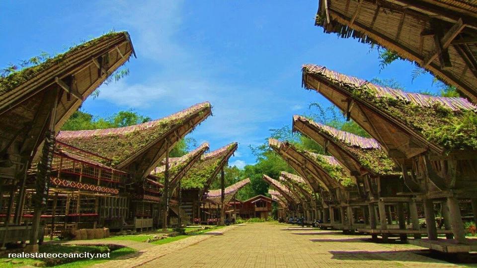 Kete Kesu หมู่บ้านทงโคนันอันสง่างามสี่แห่งและยุ้งข้าวจำนวนมากที่ประกอบกันเป็นหมู่บ้านเคเท เคซู ถูกย้ายมายังสถานที่ที่งดงามแห่งนี้ในปี 1927 เมื่อหัวหน้าครอบครัวผู้เฉลียวฉลาดสังเกตเห็นว่ารัฐบาลดัตช์ไม่สนใจใครเลยที่อยู่ห่างจากศูนย์กลางการบริหารของตนมากเกินไป