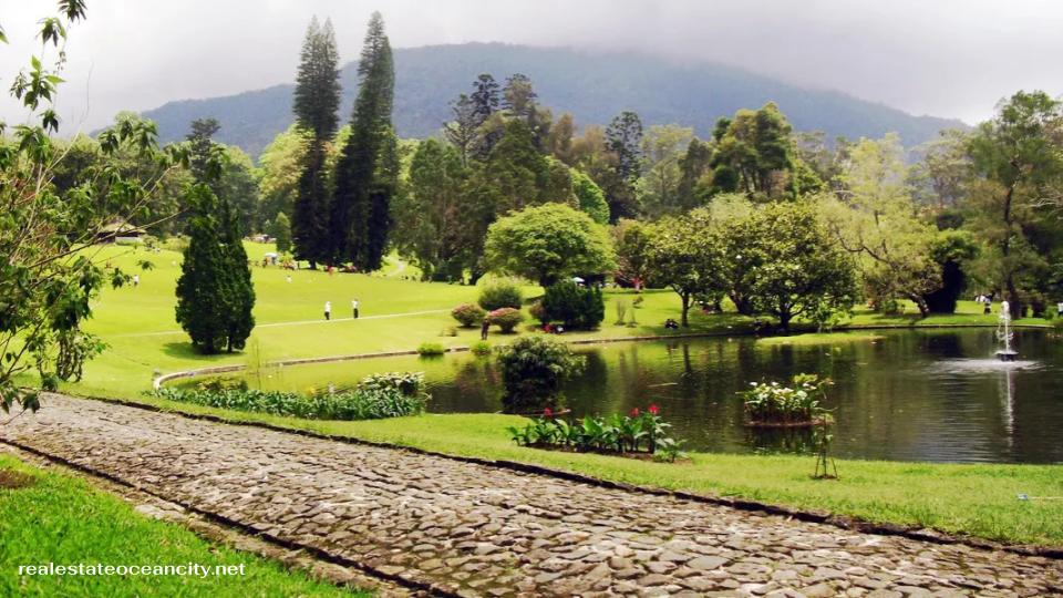 สวน Kebun Raya Cibodas อันงดงามเป็นส่วนขยายของสวนพฤกษศาสตร์โบกอร์ สวนแห่งนี้ทอดตัวอยู่บนเนินลาดด้านล่างที่ลาดชันของ Gunung Gede และ Gunung Pangrango ที่ระดับความสูง 1,300 ถึง 1,440 เมตร