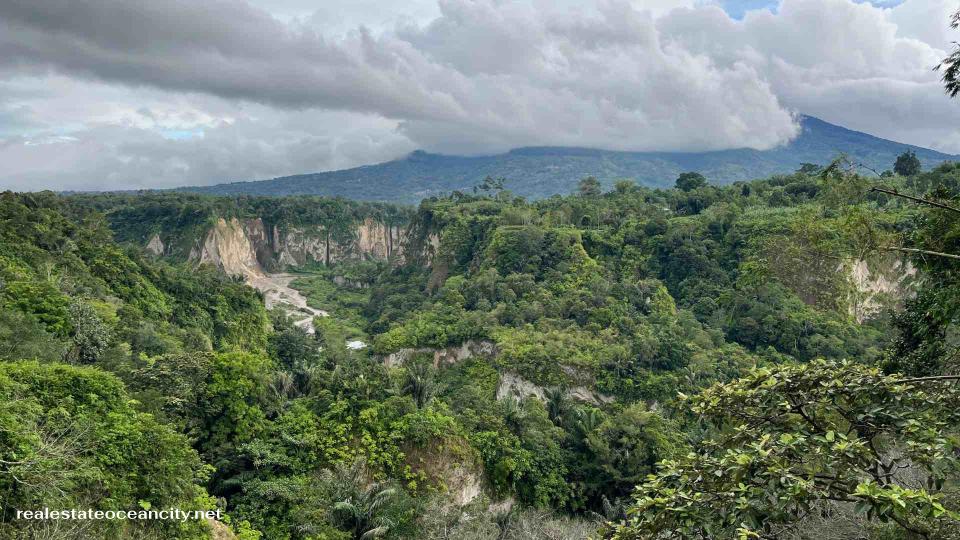 Batang Palupuh Nature Reserve เขตอนุรักษ์แห่งนี้ซึ่งอยู่ห่างออกไปทางเหนือของบูกิตติงกิ 16 กม. เป็นที่อยู่อาศัยของกล้วยไม้หลายสายพันธุ์ รวมถึงRafflesia arnoldiiและAmorphophallus titanum ซึ่งเป็นดอกไม้ที่ใหญ่ที่สุดในโลก