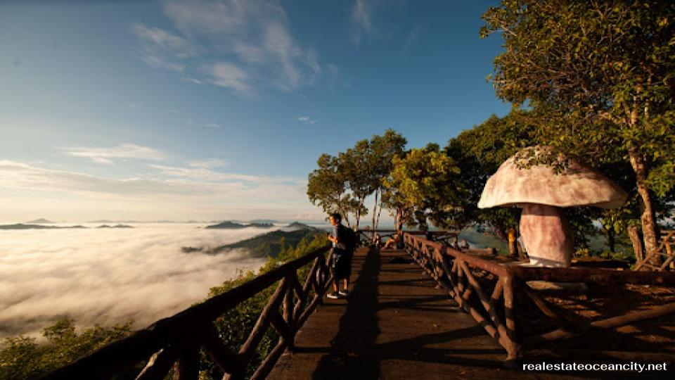 วังผาเมฆ จังหวัดตรัง เป็นหนึ่งในสถานที่ท่องเที่ยวธรรมชาติที่น่าหลงใหล ตั้งอยู่ในอำเภอนาโยง จังหวัดตรัง ซึ่งเป็นจุดหมายปลายทางยอดนิยมสำหรับผู้ที่รักการผจญภัยและหลงใหลในความงดงามของธรรมชาติ ที่นี่เป็นจุดชมวิวที่สามารถมองเห็นทะเลหมอกที่สวยงามได้ตลอดทั้งปี พร้อมด้วยบรรยากาศที่เงียบสงบ เหมาะสำหรับผู้ที่ต้องการหลีกหนีความวุ่นวายของเมืองใหญ่และเติมพลังใจให้กับตัวเอง