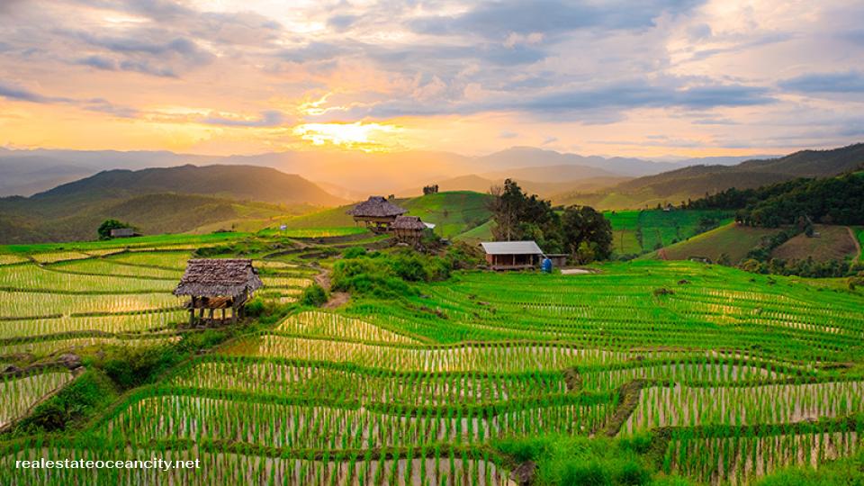 บ้านป่าบงเปียง สถานที่ที่สามารถหลีกหนีความวุ่นวายจากชีวิตในเมืองใหญ่ได้อย่างแท้จริง และอยากสัมผัสความงามของธรรมชาติที่ยังคงบริสุทธิ์และเงียบสงบ 