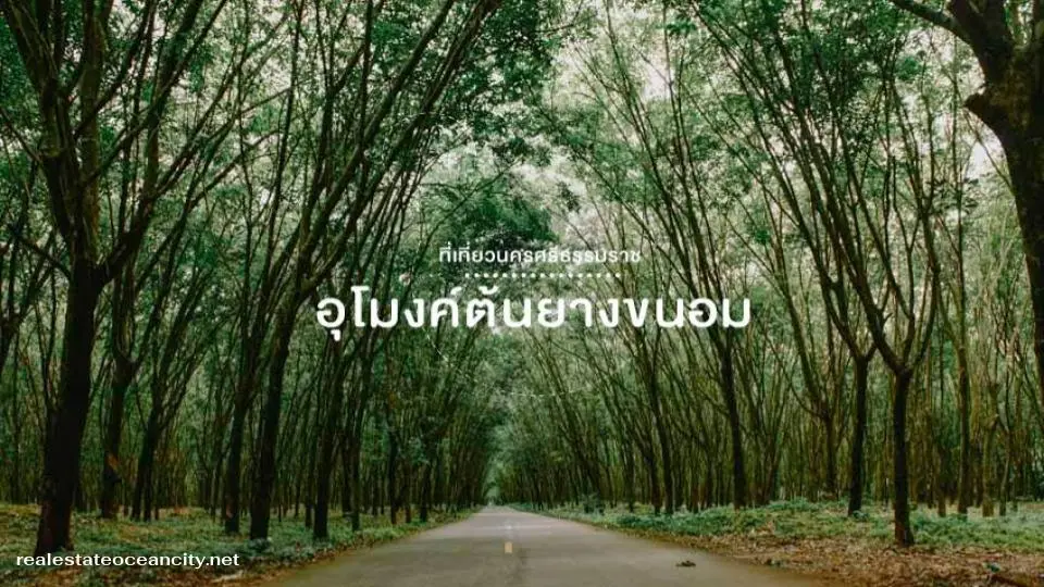 อุโมงค์ต้นยาง ขนอม