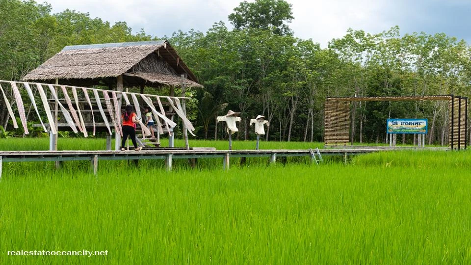 ไร่เกษมสุข นครศรีธรรมราช