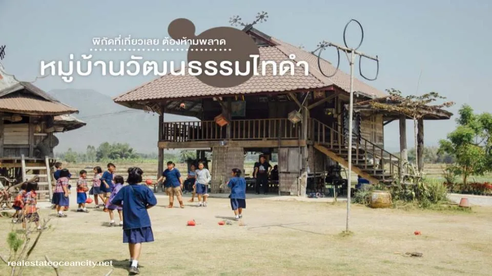 หมู่บ้านวัฒนธรรมไทดำ บ้านนาป่าหนาด